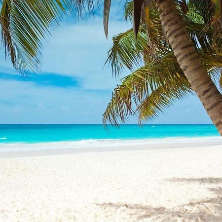 All Season Paradise In Cortez Bradenton Exteriér fotografie