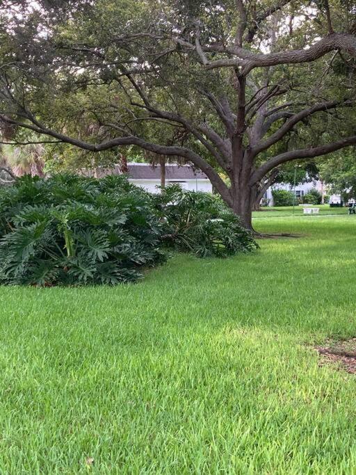 All Season Paradise In Cortez Bradenton Exteriér fotografie