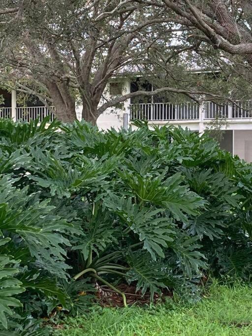 All Season Paradise In Cortez Bradenton Exteriér fotografie