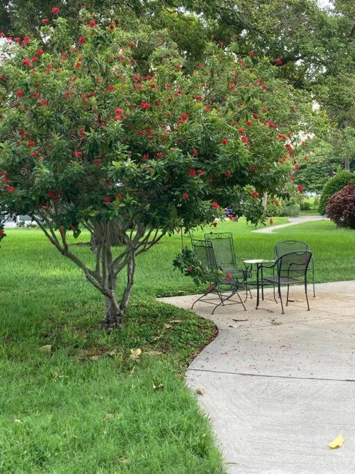 All Season Paradise In Cortez Bradenton Exteriér fotografie